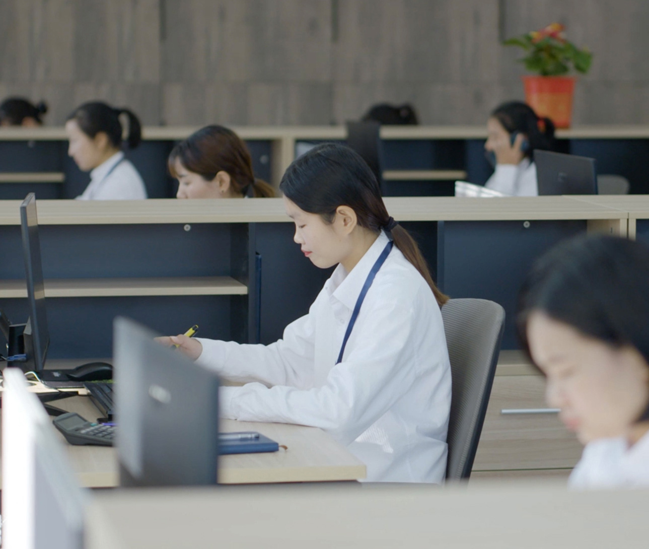 众博网站首页登录